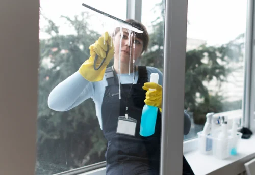 Nettoyage de vitres intérieures et extérieures à Vauchassis